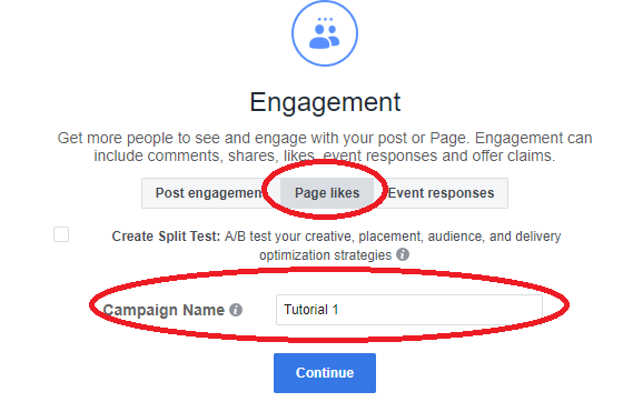 fb paid campaign